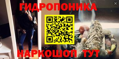 гашик Пыть-Ях